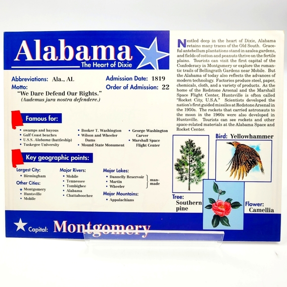 A Beka 9"x12" Nifty Fifty 100 State/Capital Flashcards - Picture 4 of 9